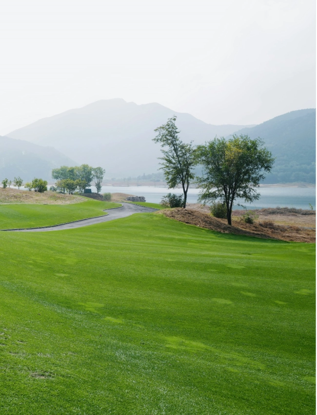 nelson golf homepage stock gallery 2